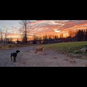 Meet your Posher, Dwight